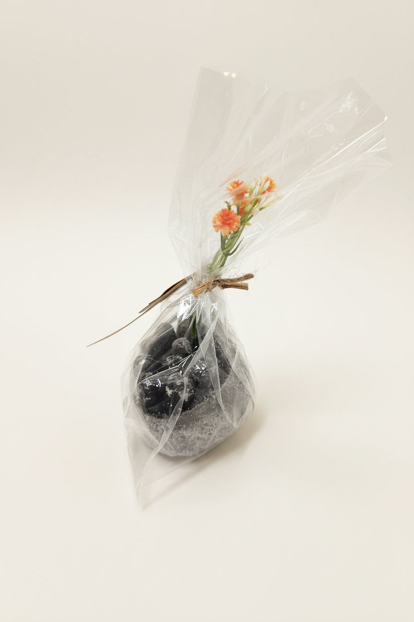 Savon Exfoliant avec Éponge Intégrée