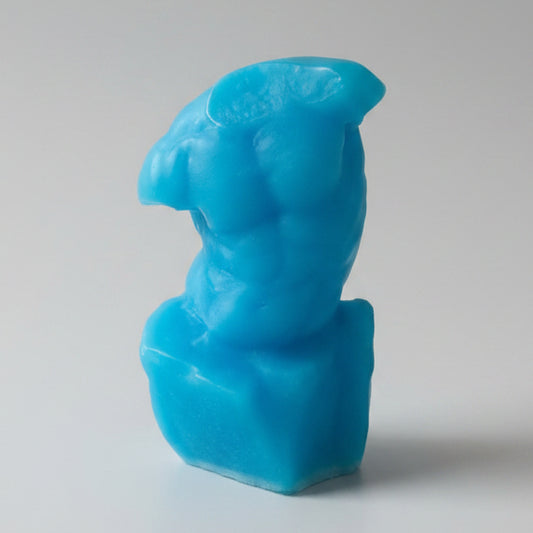 Savon en forme de Tronc d'homme