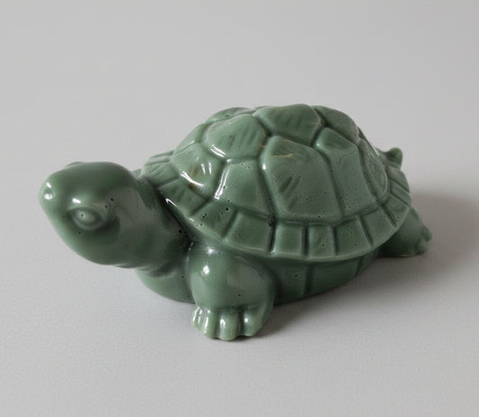 Savon en forme de Tortue