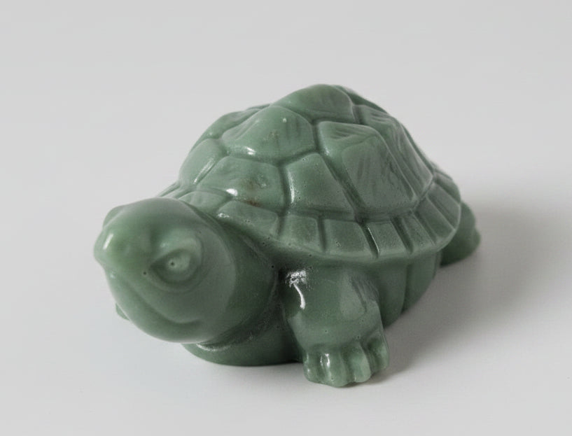 Savon en forme de Tortue